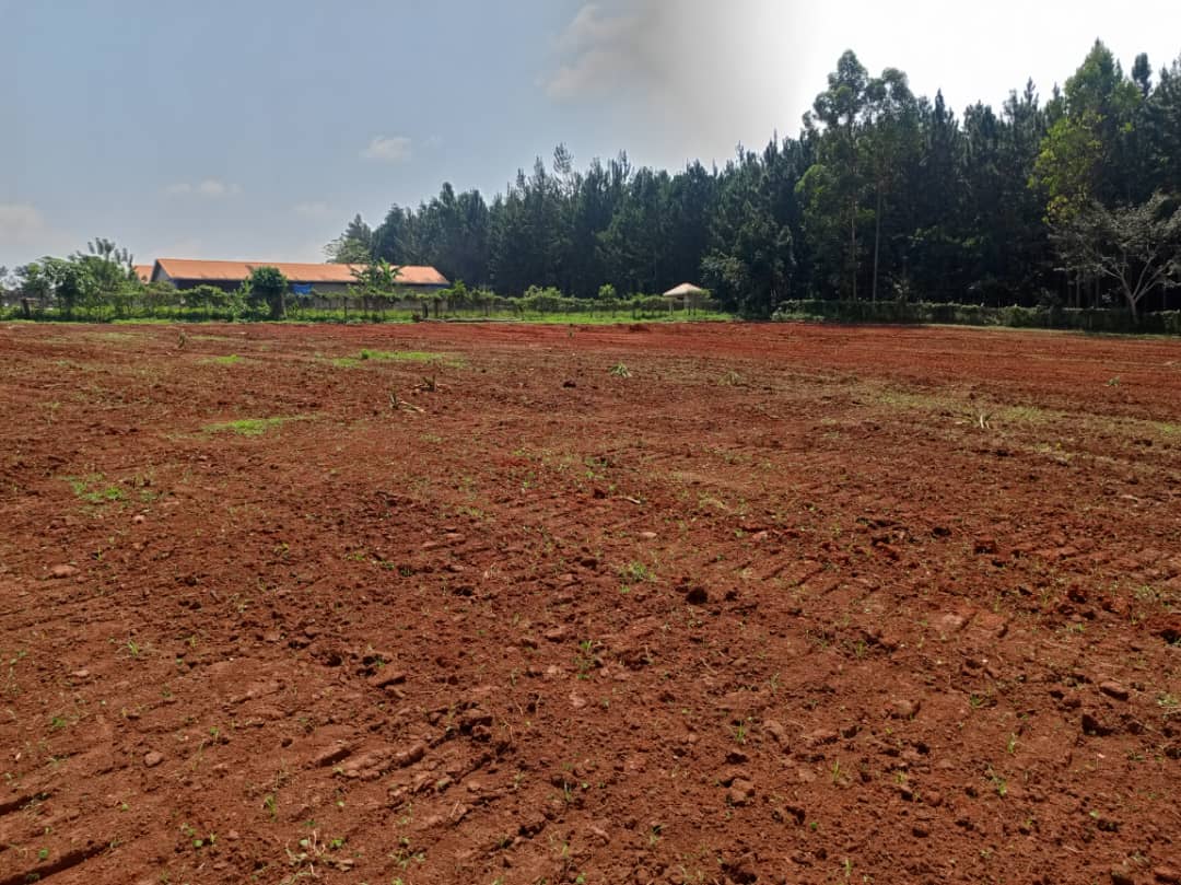 50x100ft Plots Of Land For Sale In Kira Kitukutwe At 65m Per Plot