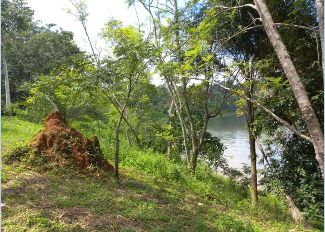 12 Acres Of Land For Sale In Busowoko Jinja Along The Nile At 300,000