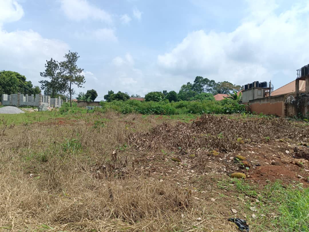 50x100ft-plot-of-land-for-sale-in-seeta-bajjo-at-45m-shillings-uganda