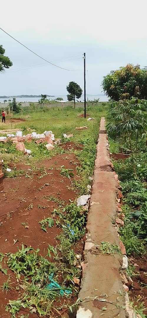 30 Acres Of Lake Shore Land For Sale In Bugiri Bukasa Entebbe Road 600m 