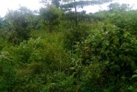Acres of land for sale in Ngeta Lira city from 17m an acre