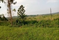 100x100 meters of land for sale in Senior Quarters Lira city at 450m shillings