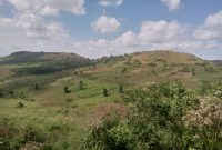 640 acres of land for sale 17km off Entebbe road at 60m per acre