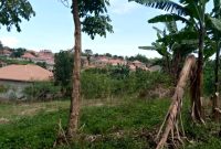 20 decimals plot of land for sale in Kyanja at 250m