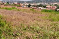 20 decimal plots for sale in Mbuya at 170,000 USD