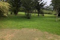 50 decimals plot of land for sale in Kololo at 1m USD