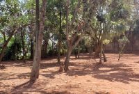 50 decimals (0.5 acres) of land for sale on Muyenga Hill at $400,000