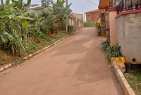 50x100ft plot of land for sale in Kungu Kampala at 100m