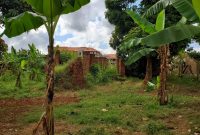 18 decimals plot of land for sale in Kungu 140m