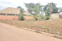 50x100ft plot of land for sale in Kyanja at 185m