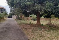 30 decimals plot of land for sale in Kyanja hill at 450m