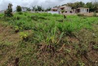 24 decimals plot of land for sale in Kyanja Kungu 200m