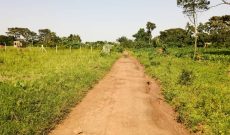 14 decimals plot of land for sale in Namugongo Nakiyanja 75m