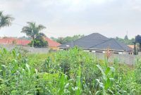 27 decimals plot of land for sale in Kyanja at 240m