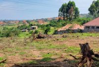 20 decimals plot of land for sale in Kyanja Kungu at 250m Uganda shillings