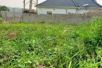 50x100ft plot of land for sale in Kasangati At 35m