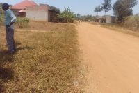 plot of land of 30x200ft for sale in Budaka, Nasenyi at 20m