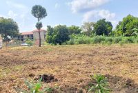 30 decimals plot of land for sale in Kyanja at 450m