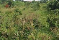 10 Acres Of Lake View Land For Sale In Garuga Entebbe Road 430m Per Acre