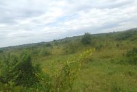 3 Square Miles Of Agricultural Land For Sale In Mityana At 5m Per Acre