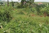 1 Acres Of Lake View Land For Sale In Bugiri Entebbe Road 450m