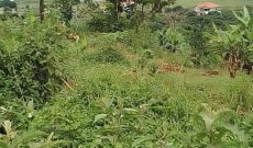 1 Acres Of Lake View Land For Sale In Bugiri Entebbe Road 450m