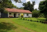 Half Acre Property For Sale In Kololo With A House At 1.5m USD