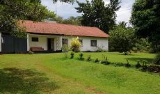 Half Acre Property For Sale In Kololo With A House At 1.5m USD