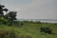 10.5 Square Miles Of Lake Shore Land For Sale In Masaka At 7m Per Acre