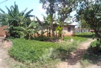 29x17.9 Meter Land With 3 Bedroom House For Sale In Lira Kirombe At 50m Shillings