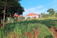 50x100ft Plot Of Land For Sale In Namugongo Jinja Misindye At 50m