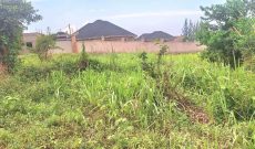 100x100ft Plot Of Land For Sale In Kira Nsasa At 165m