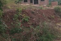 50x100ft Plots Of Land For Sale In Kavule Bombo Road At 13m Per Plot