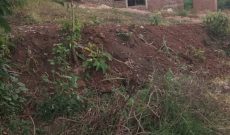 50x100ft Plots Of Land For Sale In Kavule Bombo Road At 13m Per Plot