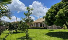 4 Bedrooms House For Sale In Bwerenga Kawuku Entebbe Rd 35 Decimals 550m