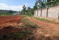 Land Plots Of 50x100ft For Sale In Namugongo Sonde At 55m Each