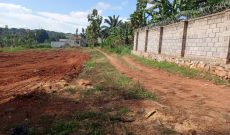 Land Plots Of 50x100ft For Sale In Namugongo Sonde At 55m Each