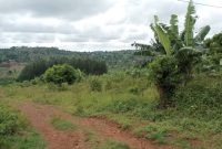 1 Square Mile Of Farmland For Sale In Mpigi Masaka Rd At 25m Per Acre