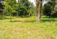 6 Acres On The Banks Of The Nile River In Bujowali Njeru For Sale 400m Per Acre
