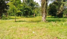 6 Acres On The Banks Of The Nile River In Bujowali Njeru For Sale 400m Per Acre