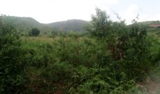245 Acres Of Freehold Land For Sale In Kamuli At 5m Per Acre