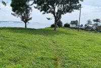 1 Acre Lakefront Property For Sale In Entebbe Zoo At 750,000 USD