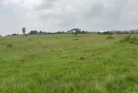 15 Acres Of Land For Sale In Tajar Bukedea At 4m Per Acre