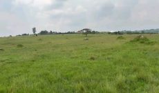 15 Acres Of Land For Sale In Tajar Bukedea At 4m Per Acre