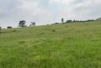 2,000 Acres Of Land For Sale In Kapelebyong At 3.5m Per Acre