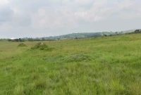 200 Acres Of Land For Sale In Buliisa At 20m Per Acre