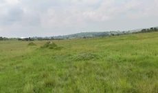 200 Acres Of Land For Sale In Buliisa At 20m Per Acre