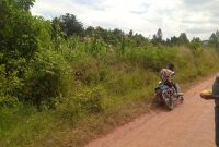 100 Acres Of Land For Sale In Kapelebyong District 3.5m Per Acre