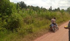100 Acres Of Land For Sale In Kapelebyong District 3.5m Per Acre