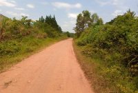 6 Acres For Sale In Namutumba Freehold At 60m Per Acre